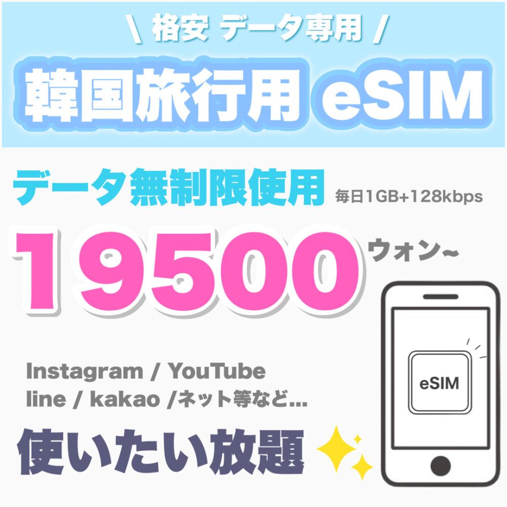 E sim(韓国で使うSIM)